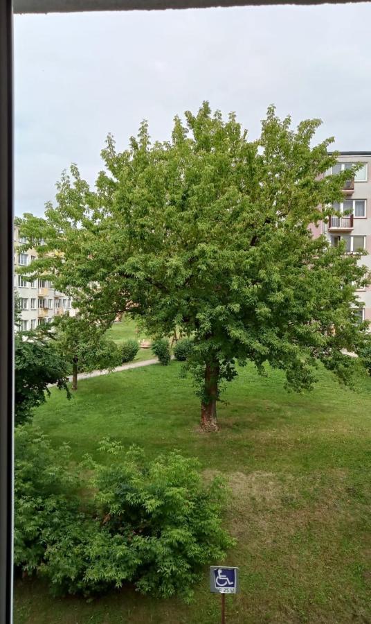 Apartament Mazury Ketrzyn Luaran gambar